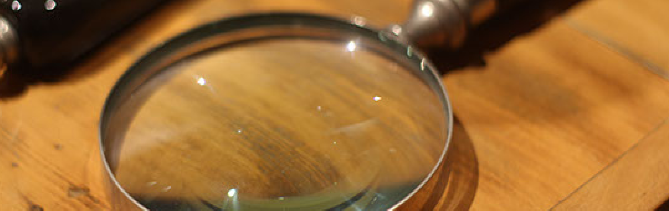 Investigações, Controle de Fraudes e Recuperação de Ativos